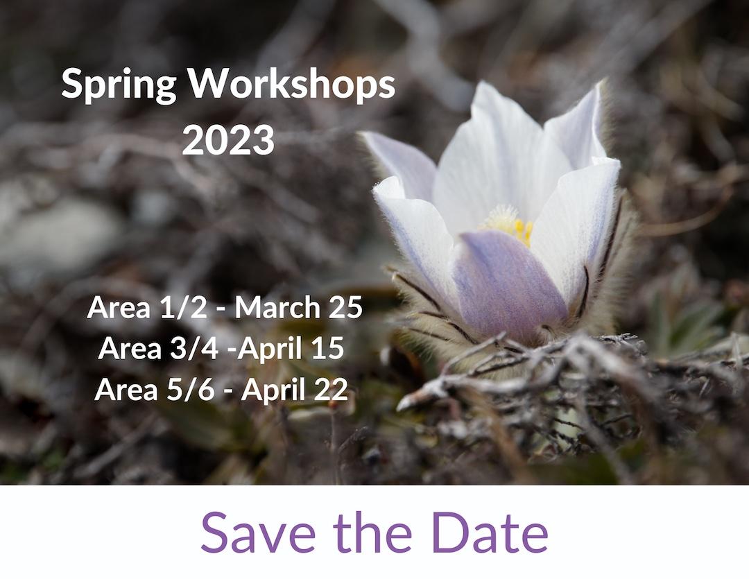 2023 Workshop Save the Date